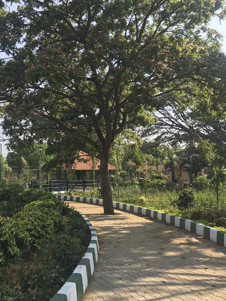 Dedicated Jogging Track